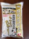新米 特別栽培米コシヒカリ5分づき 2kg