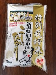 特別栽培米コシヒカリ白米 5kg