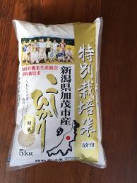 特別栽培米コシヒカリ　5分づき 10kg