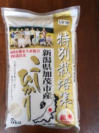 新米 特別栽培米コシヒカリ5分づき 5kg