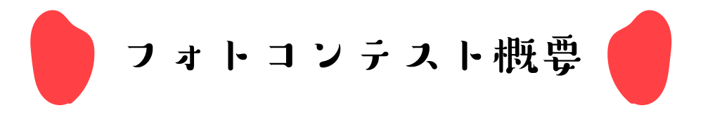 フォトコンテスト概要