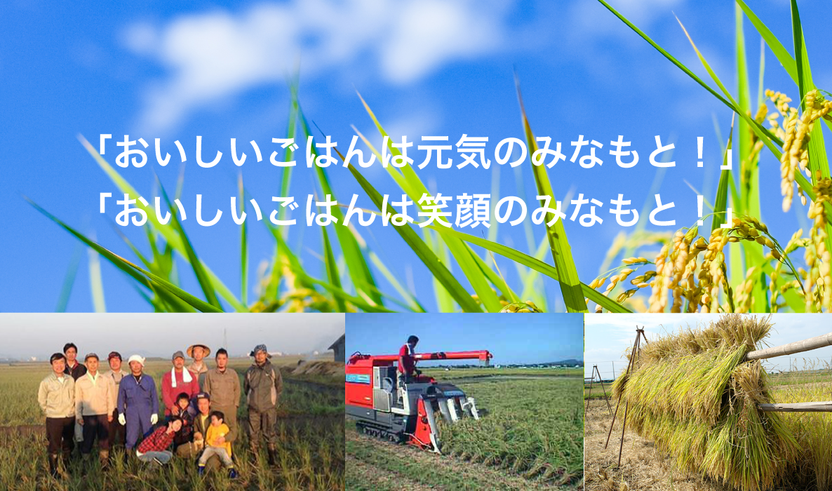 おいしいごはんは元気のみなもと